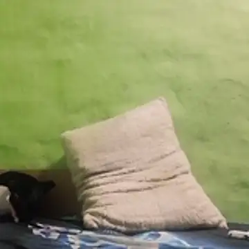 kaland69 online show from November 2025 09:24:01 PM