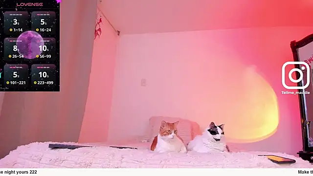 Snapshot of tellmemaddie chatting on November 2025 08:11:01 PM tellmemaddie online show from November 2025 08:11:01 PM