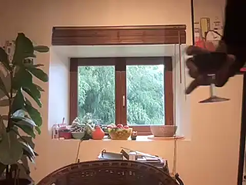 Snapshot of chtentation chatting on February 2026 02:03:01 PM chtentation online show from February 2026 02:03:01 PM