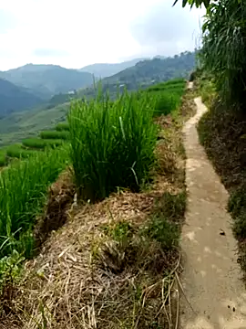 nhinhi-sexy online show from October 2025 05:39:02 AM