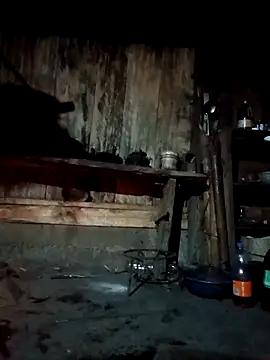 bree-zz online show from April 2026 10:31:02 PM