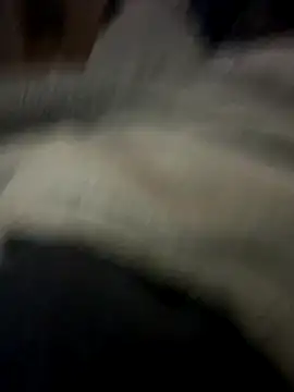 UnitedMap1 online show from November 2025 01:59:02 AM