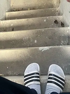 max22palm online show from October 2025 06:31:01 AM