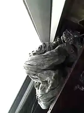 amanWildstalion online show from November 2025 07:19:01 AM