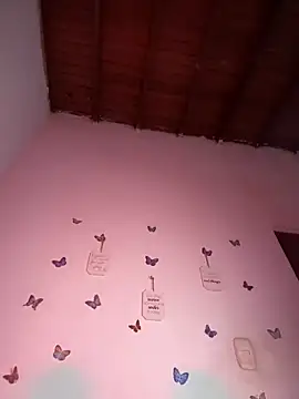 Solaangel  online show from November 2025 12:25:01 PM