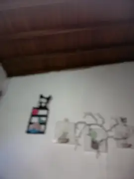 Solaangel  online show from February 2026 12:04:02 AM