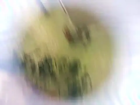 Masha412111 online show from October 2025 08:19:01 PM