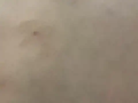 pleasedontpressaredburton online show from February 2026 03:29:02 AM