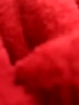 Snapshot of ProXydelhi chatting on February 2026 11:19:02 PM ProXydelhi online show from February 2026 11:19:02 PM