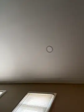 Snapshot of murphdolla chatting on November 2025 02:42:02 PM murphdolla online show from November 2025 02:42:02 PM