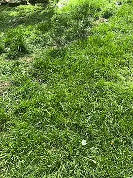 Joshman96 online show from April 2026 11:43:02 PM