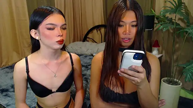 TWINKTRANSSHANEL online show from October 2025 04:33:02 AM