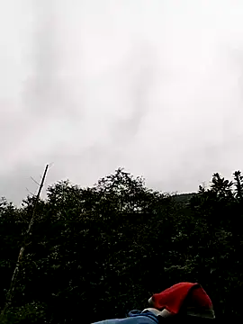 sumaybae online show from November 2025 01:55:02 AM