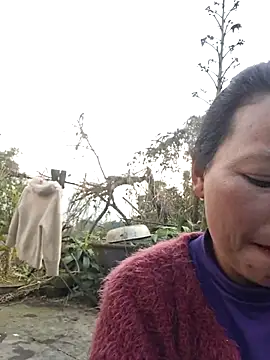 miomio-12 online show from February 2026 02:18:02 AM