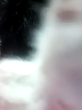 Snapshot of anjali2351 chatting on February 2026 02:21:02 PM anjali2351 online show from February 2026 02:21:02 PM