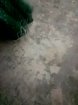 Miya sistar online show from October 2025 01:08:01 PM