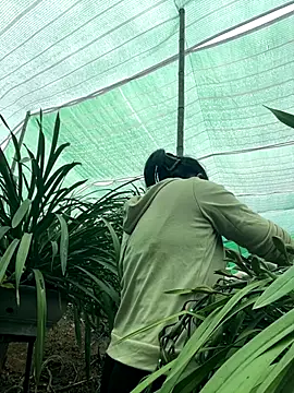 miemie-xx online show from January 2026 07:43:02 AM