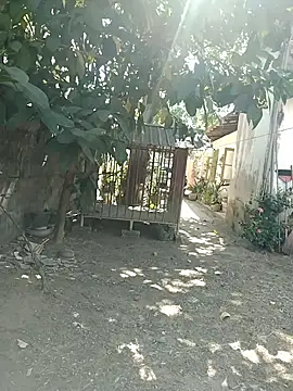 SL BEAR online show from March 2026 04:18:01 AM