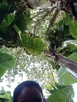 Co punam online show from April 2026 08:26:01 AM