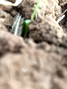 Snapshot of DirtybhabhiGoal chatting on November 2025 06:56:02 AM DirtybhabhiGoal online show from November 2025 06:56:02 AM