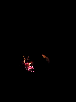 Floridaboy863 online show from February 2026 03:33:02 AM