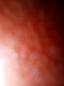 Snapshot of jhbswto chatting on October 2025 09:48:02 PM jhbswto online show from October 2025 09:48:02 PM