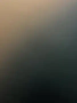 Snapshot of Siya-20 chatting on January 2026 08:41:01 AM Siya-20 online show from January 2026 08:41:01 AM