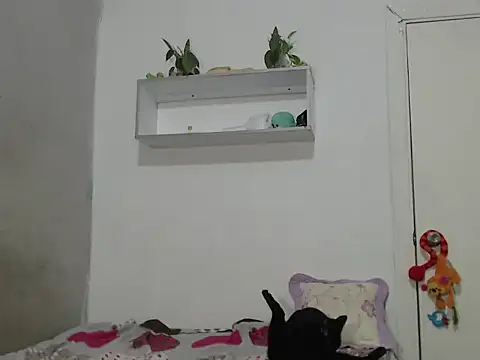 Renata Rivas online show from February 2026 03:49:02 AM