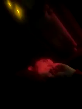 Butterfly8385 online show from December 2025 03:41:02 PM