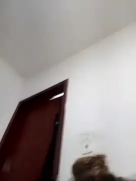 Camilanifeta online show from February 2026 02:21:02 PM