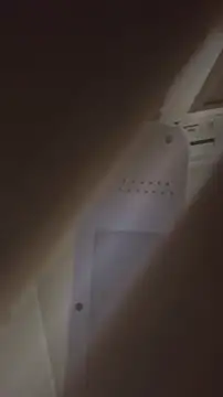 bunnydam online show from November 2025 02:40:02 PM