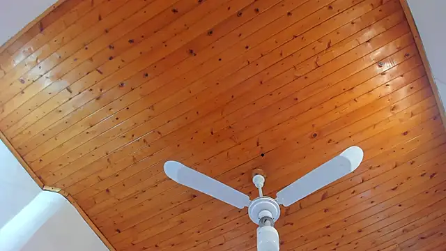 denisse khan online show from October 2025 11:46:02 AM