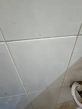 crawlerdrill online show from February 2026 02:50:02 AM