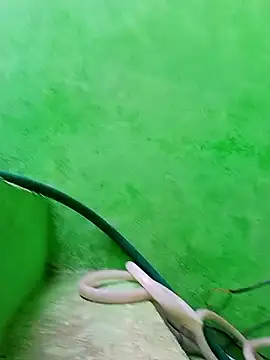 Karishma cute online show from November 2025 04:48:02 AM