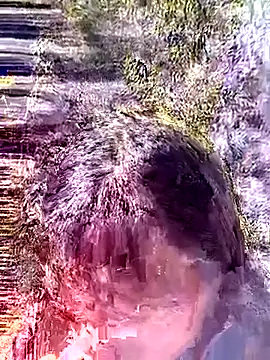 siusiu-00 online show from January 2026 05:00:01 AM