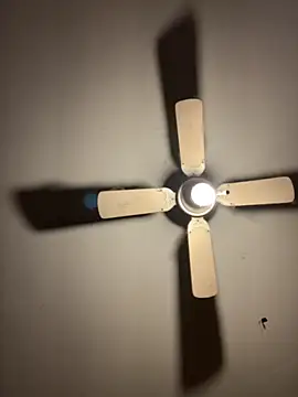 CarmeloA online show from October 2025 08:41:02 PM