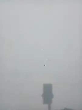 Snapshot of strip_queennn chatting on November 2025 05:45:01 PM strip queennn online show from November 2025 05:45:01 PM