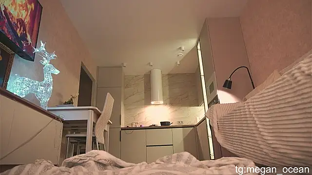 Megan galactica online show from November 2025 04:11:02 PM