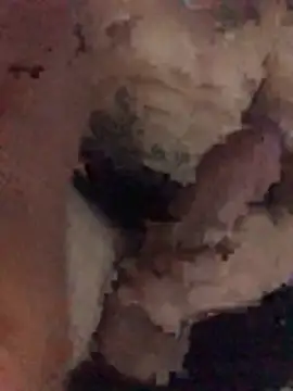 Osonhodelas online show from January 2026 12:37:01 AM