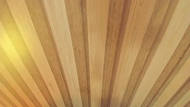 mia  blaze   online show from January 2026 03:01:02 AM