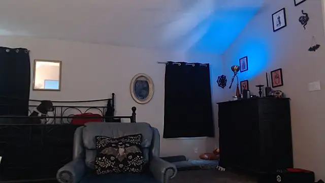 Snapshot of ImKatMeow chatting on February 2026 06:48:01 PM ImKatMeow online show from February 2026 06:48:01 PM