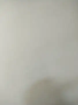 Snapshot of Black14x6 chatting on October 2025 06:19:02 PM Black14x6 online show from October 2025 06:19:02 PM