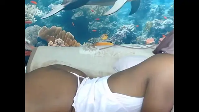Snapshot of AfricanBarbiee69 chatting on July 2026 08:33:02 PM AfricanBarbiee69 online show from July 2026 08:33:02 PM