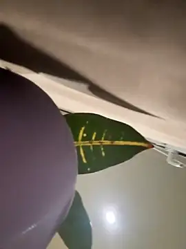 Amelia-Diamond online show from November 2025 08:22:02 PM