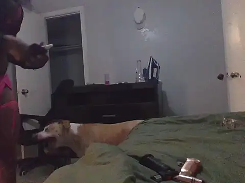 Owlpow online show from July 2026 08:07:02 AM