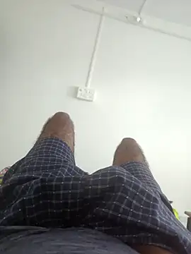 sugar seeker online show from November 2025 10:06:02 AM