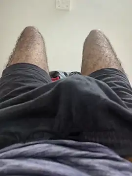 sugar seeker online show from November 2025 04:40:01 PM