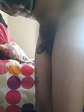 AlgeeBoksburg online show from April 2026 11:53:02 AM