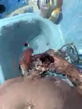 Miguelitros online show from April 2026 04:27:02 PM