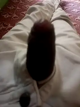 kumarstelugu online show from December 2025 06:31:01 AM